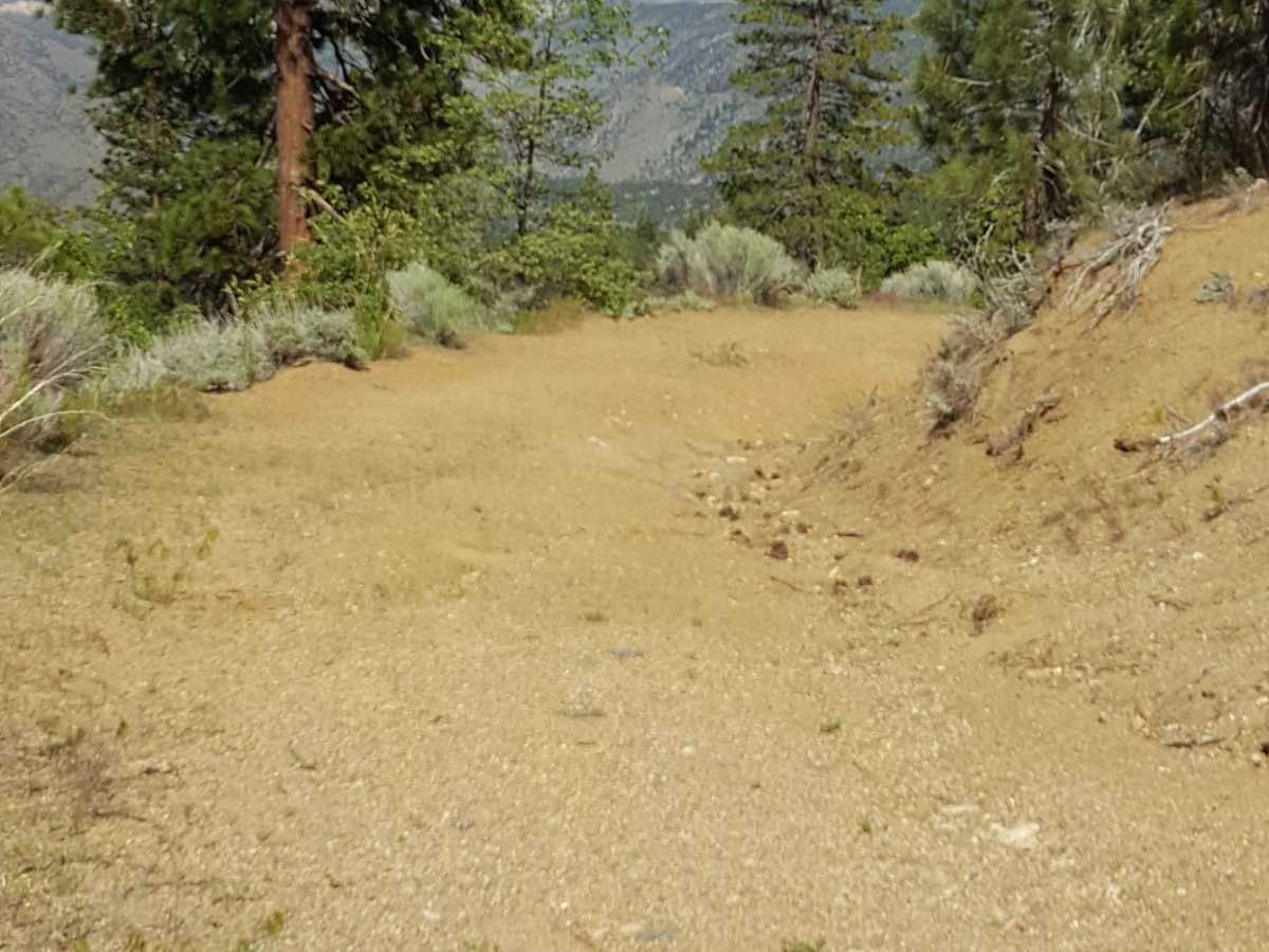 Alamo Mountain OHV - FS 8N01.3 photo 2