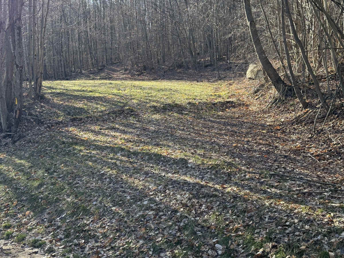 Camp Run - FS 504 photo 6