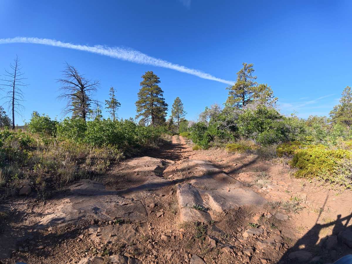 Long Canyon Road photo 3