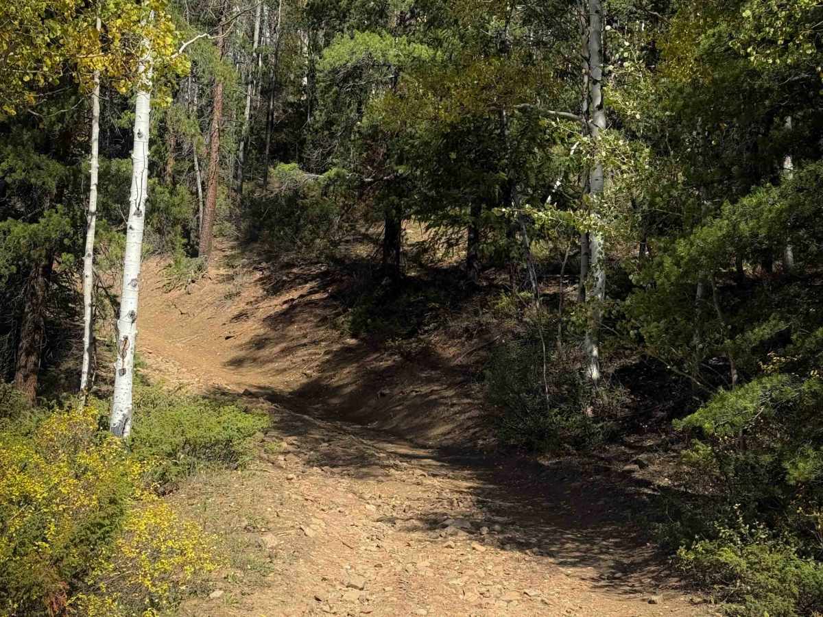 Powderhouse Trail - FS 647  trail photo
