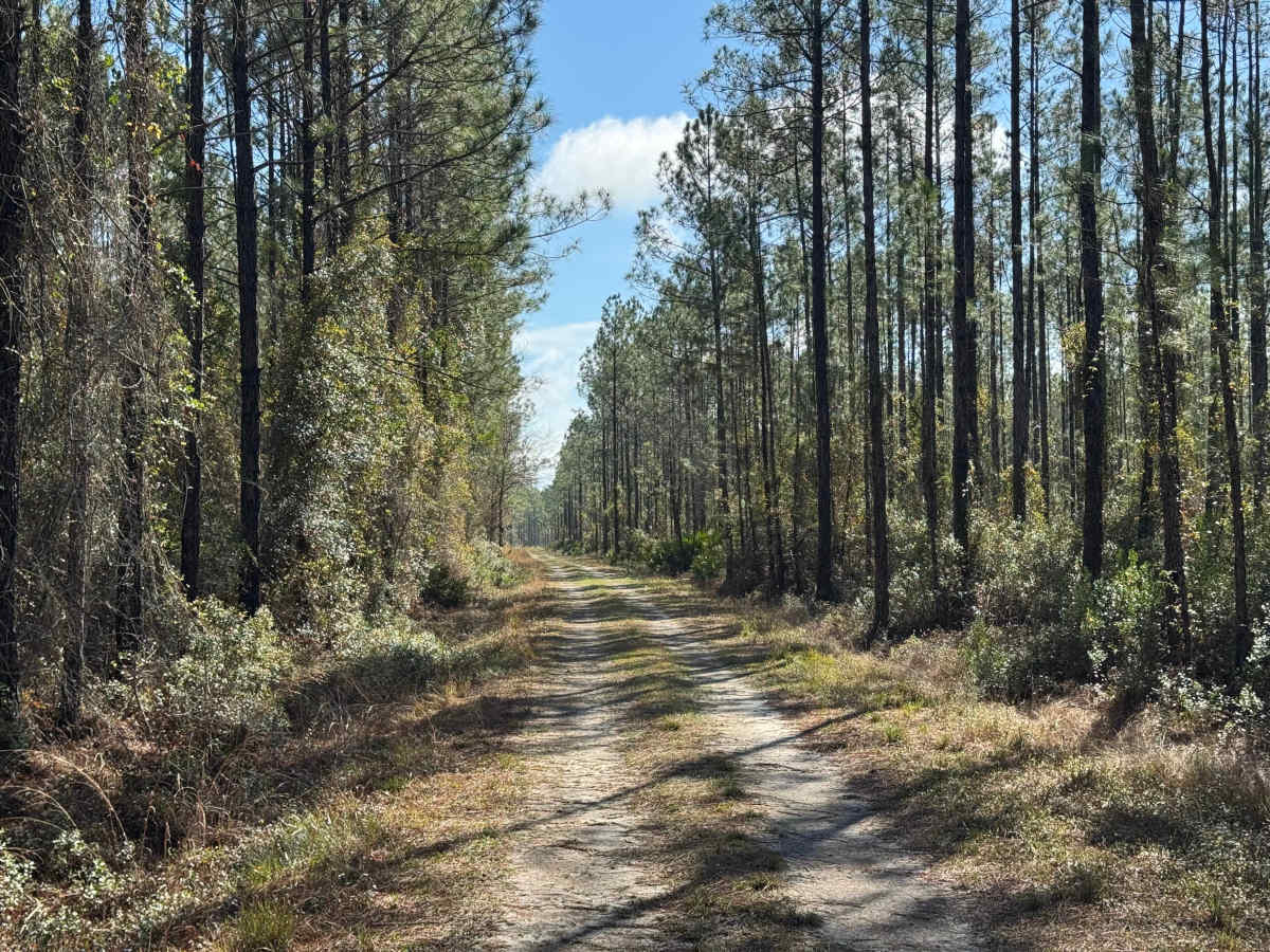 Clay Hill Road photo 3