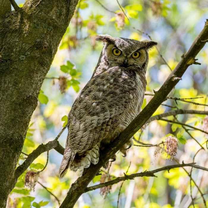 Near Trapper Park Trail