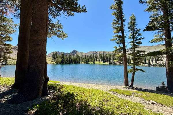 Lost Lakes Road - FS 31070