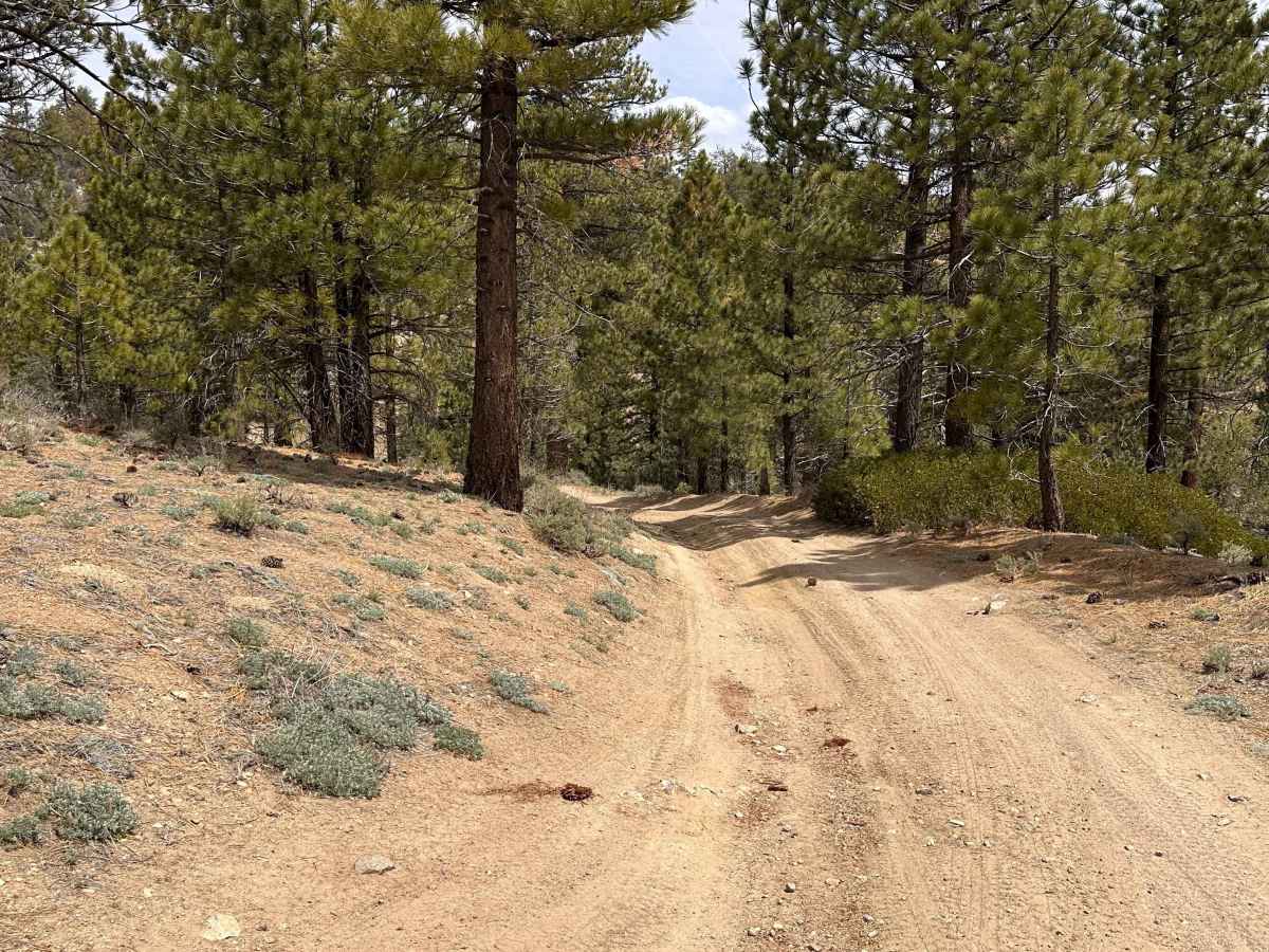 Upper Holcomb PCT photo 5