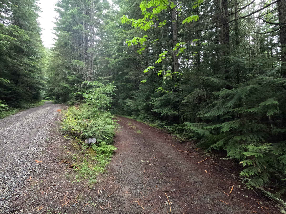 Upper West Church - FS 3120 trail photo