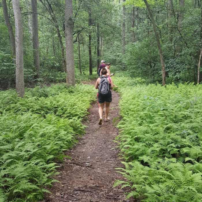 Near Murray's Mill Trail