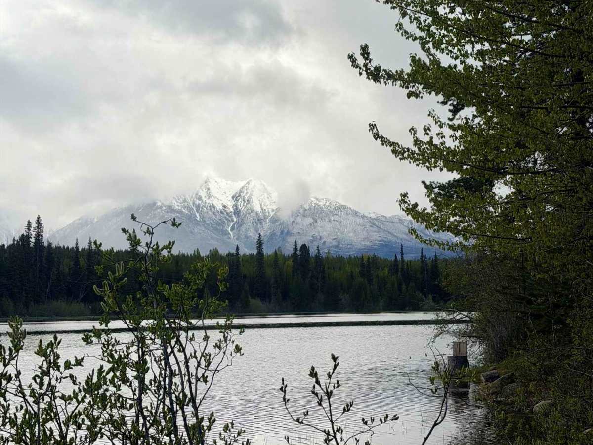 Gwyneth Lake Provincial Park photo 6