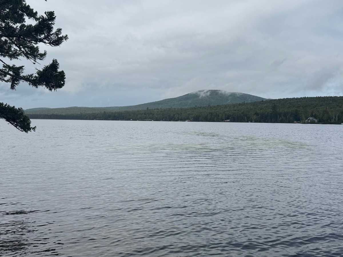 Success Pond Road trail photo