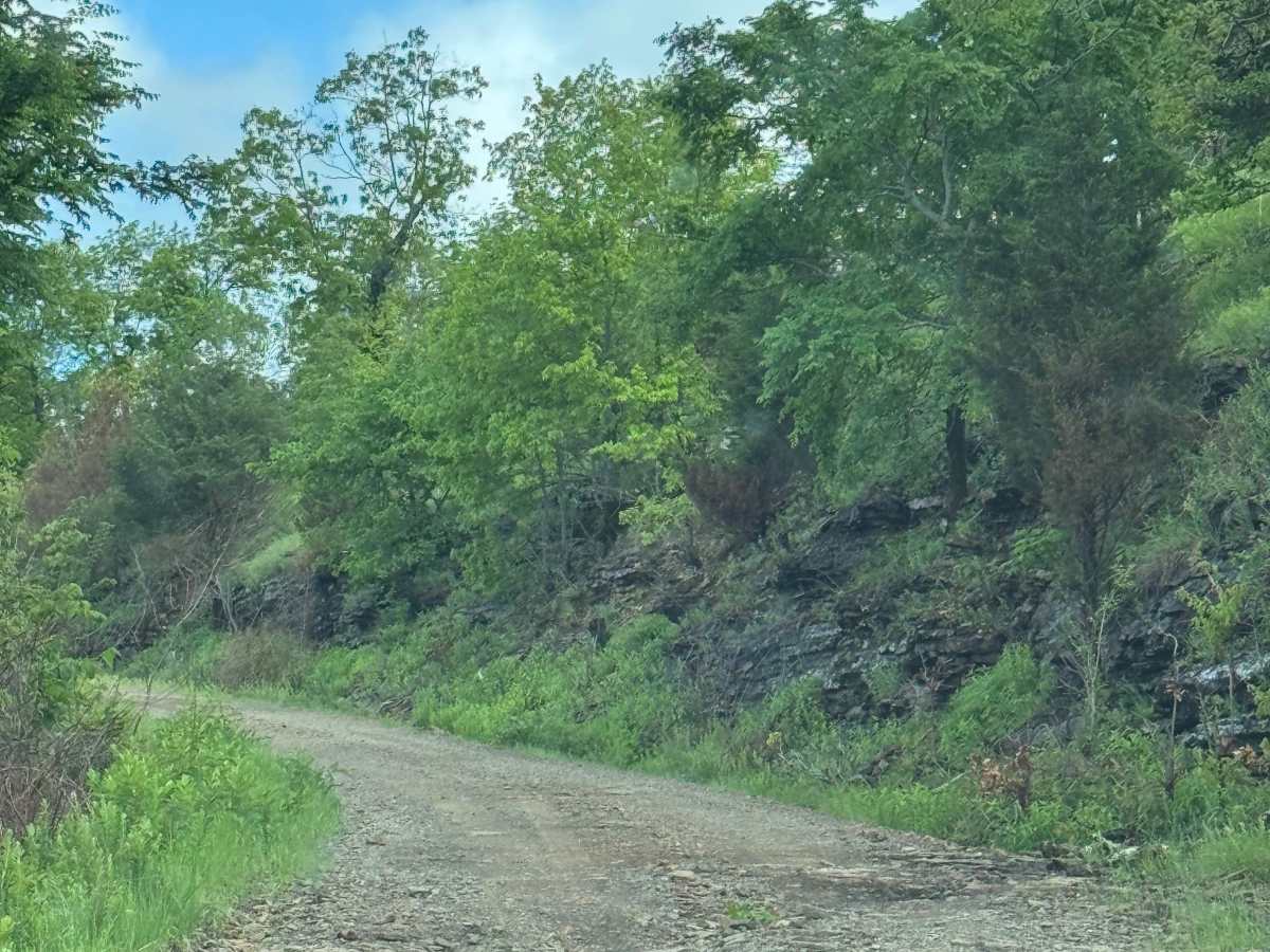 Pilot Rock Mountain Road trail photo