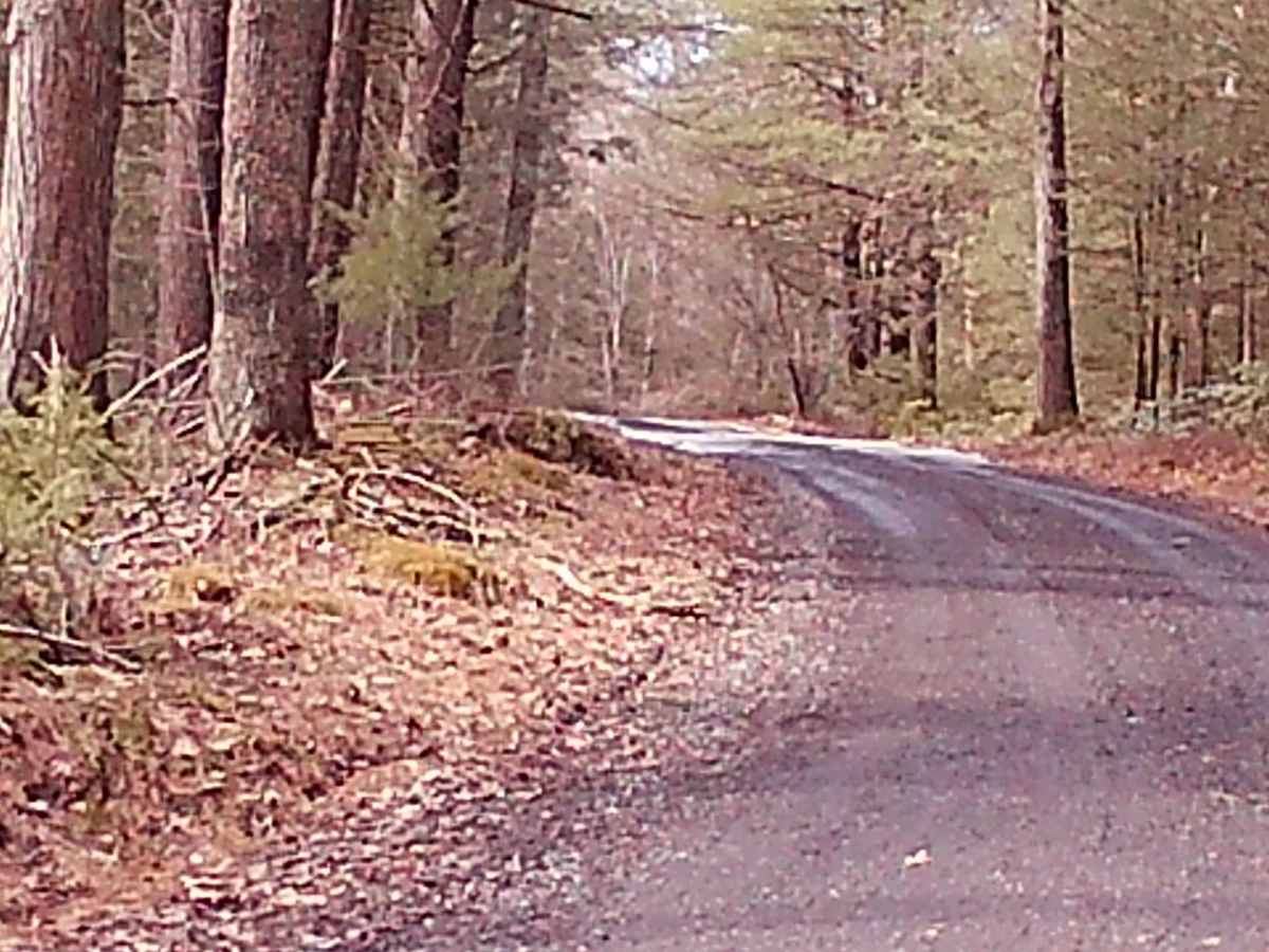 Yarison Road photo 2