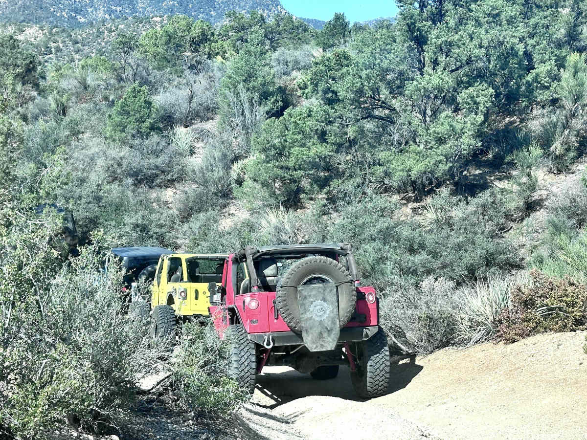 Safelite trail photo