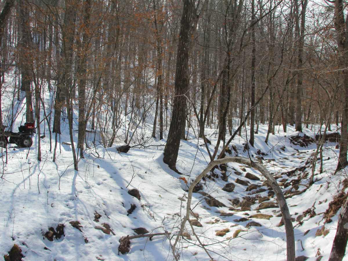 Sutton Bluff ATV 8 East - SB 8 trail photo
