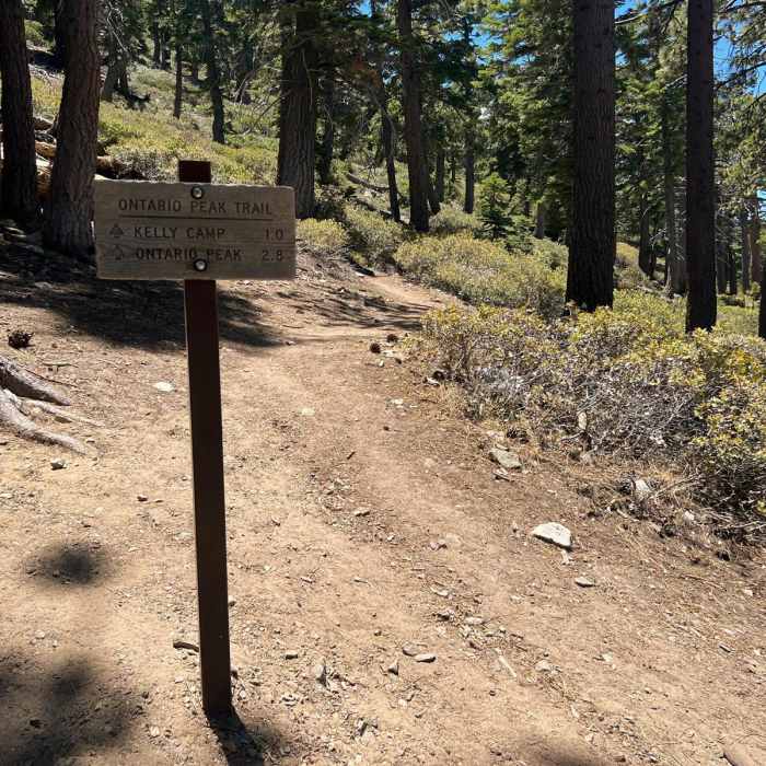 Near Ontario and Bighorn Peaks