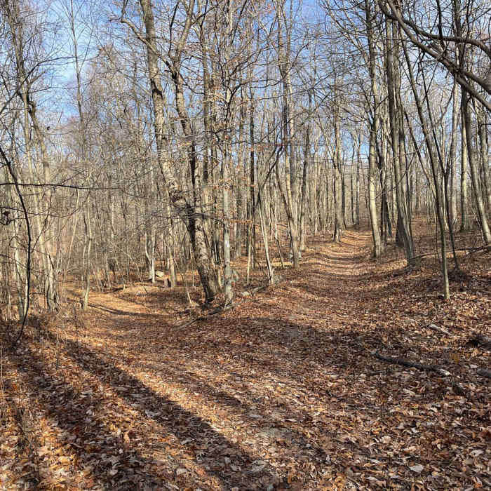 Near Stephens State Park Loop Near Stephens State Park Loop