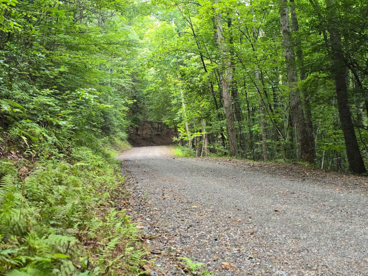 Leatherwood Road - FS 6176 photo 3