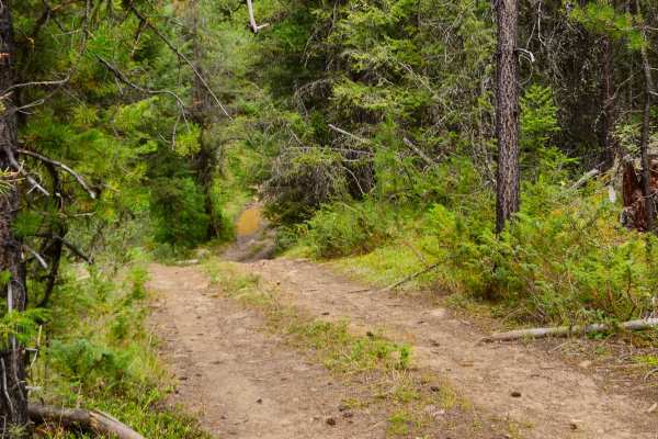 CP Flight 21 Crash Site Trail
