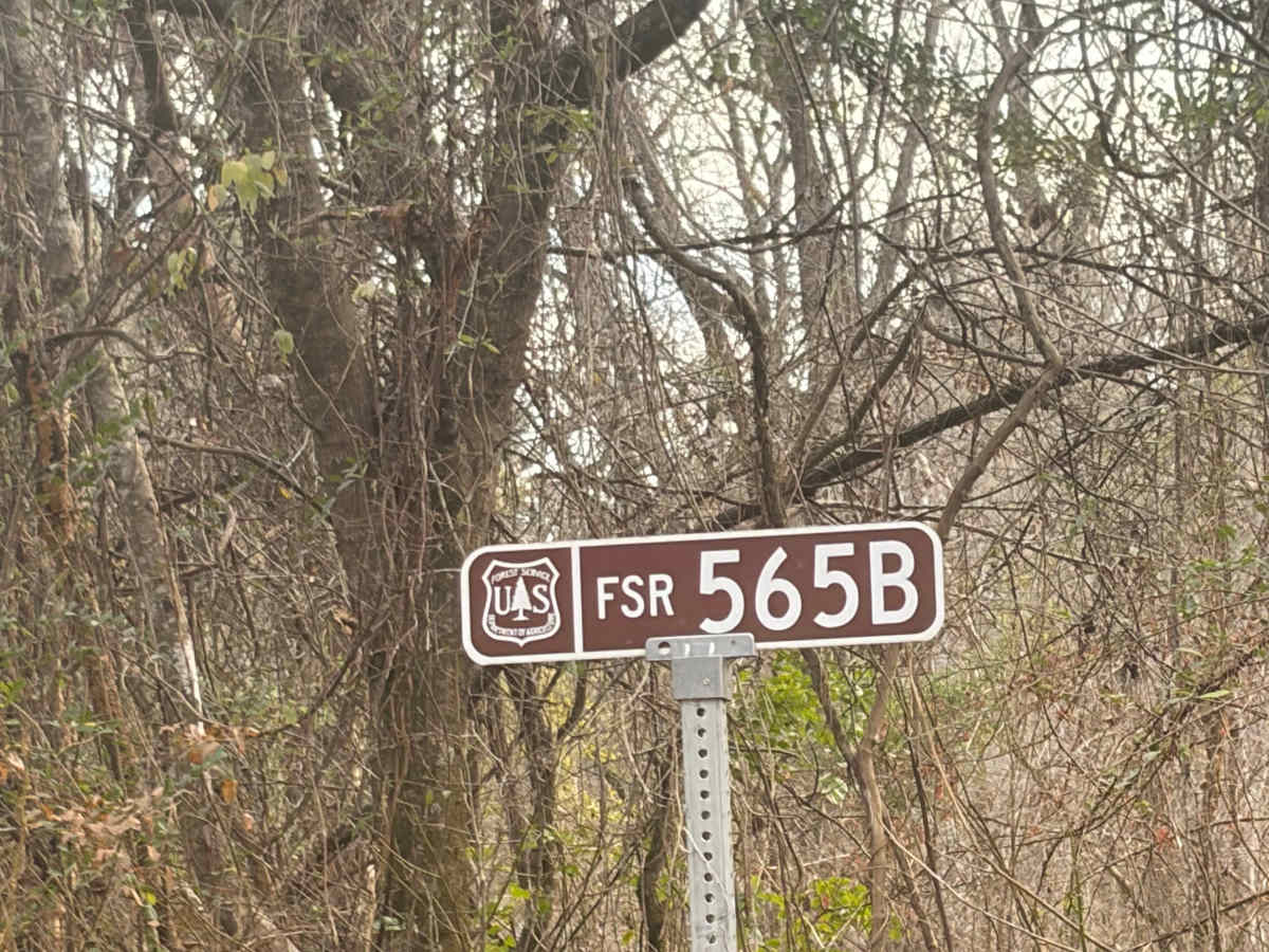 FS 565B trail photo