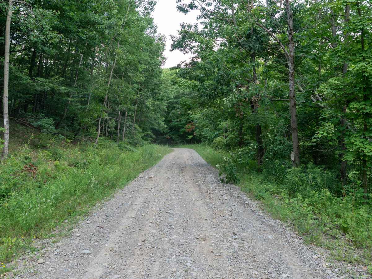 Delude Hill Road photo 4