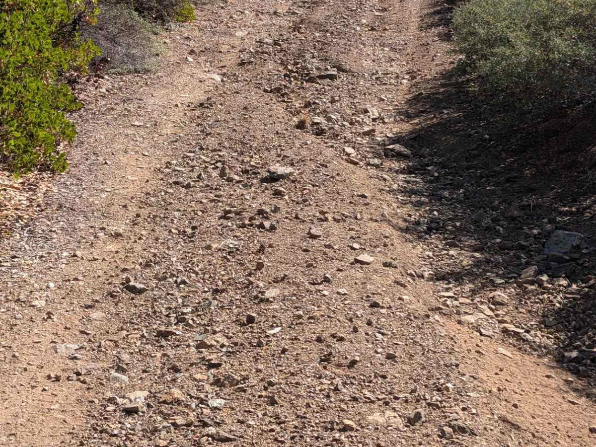 Dubit Kelly Road - FS 29N55  photo 4