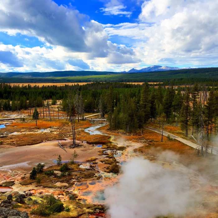 Near Artist's Paintpots Trail