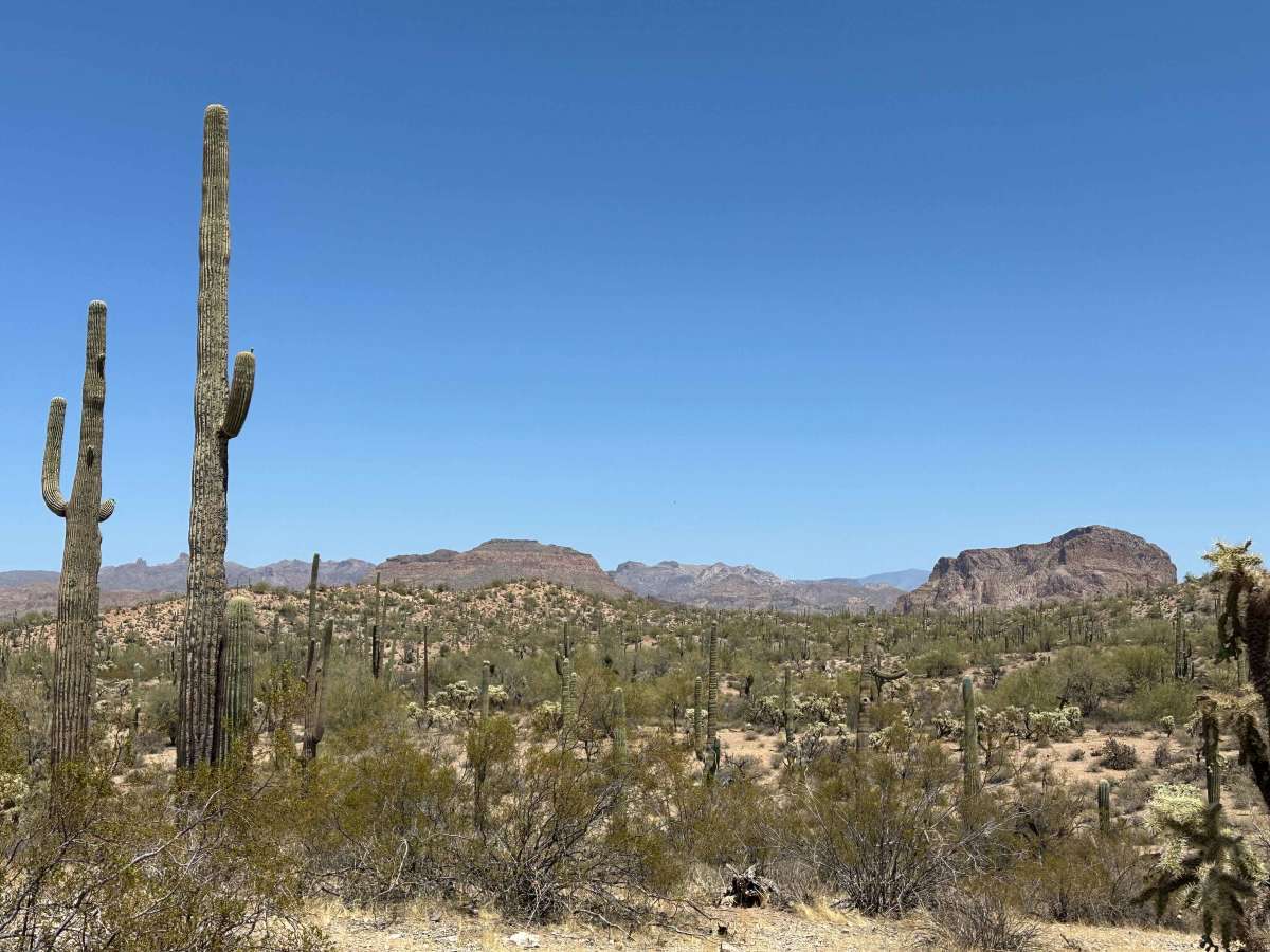 Whitlow Ranch Road photo 4