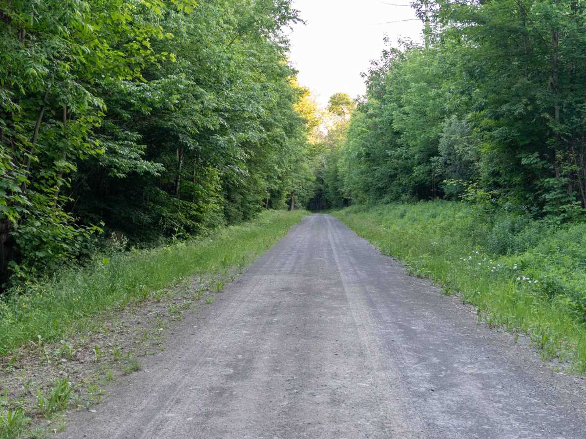 Truck Trail 7 photo 3