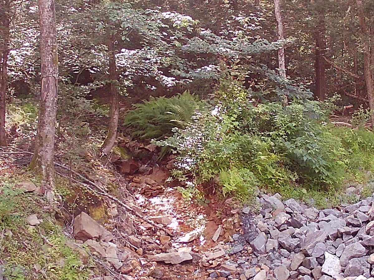 Woodward Gap Road photo 4