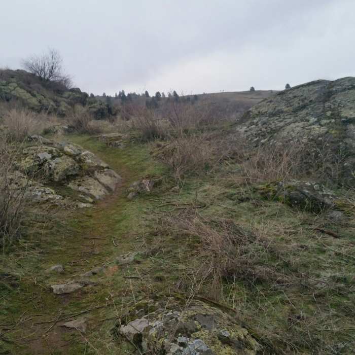 Near Uplands Loop