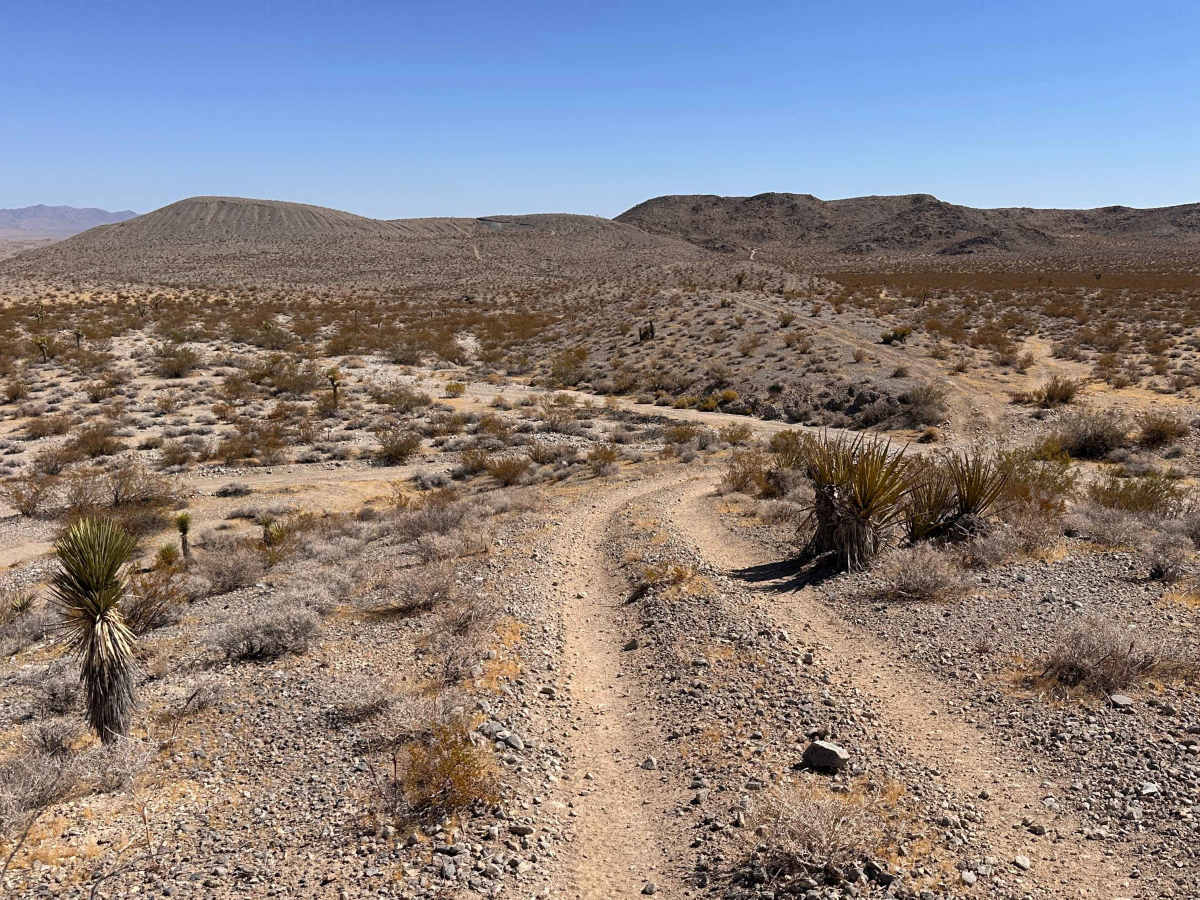 Widowmaker Gulch photo 4
