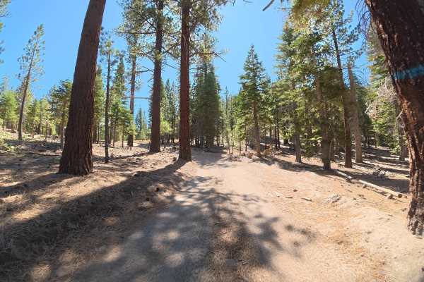 Dry Creek Road - FS 3S117