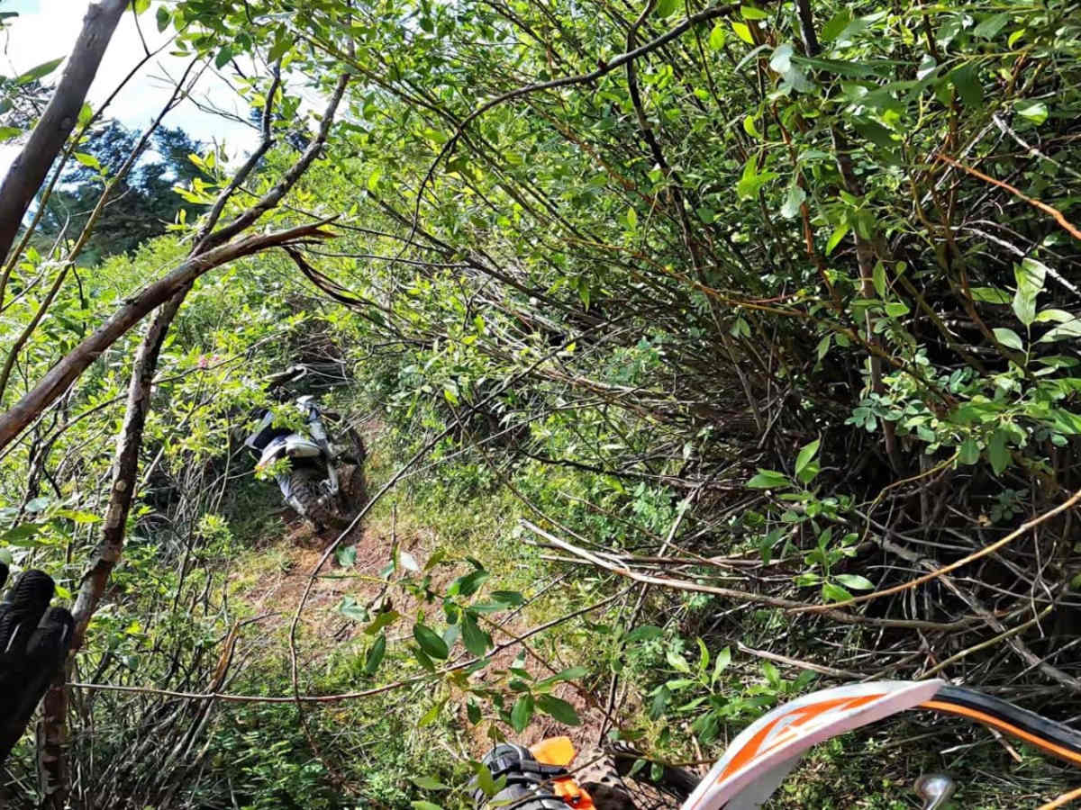 Spring Creek photo 6