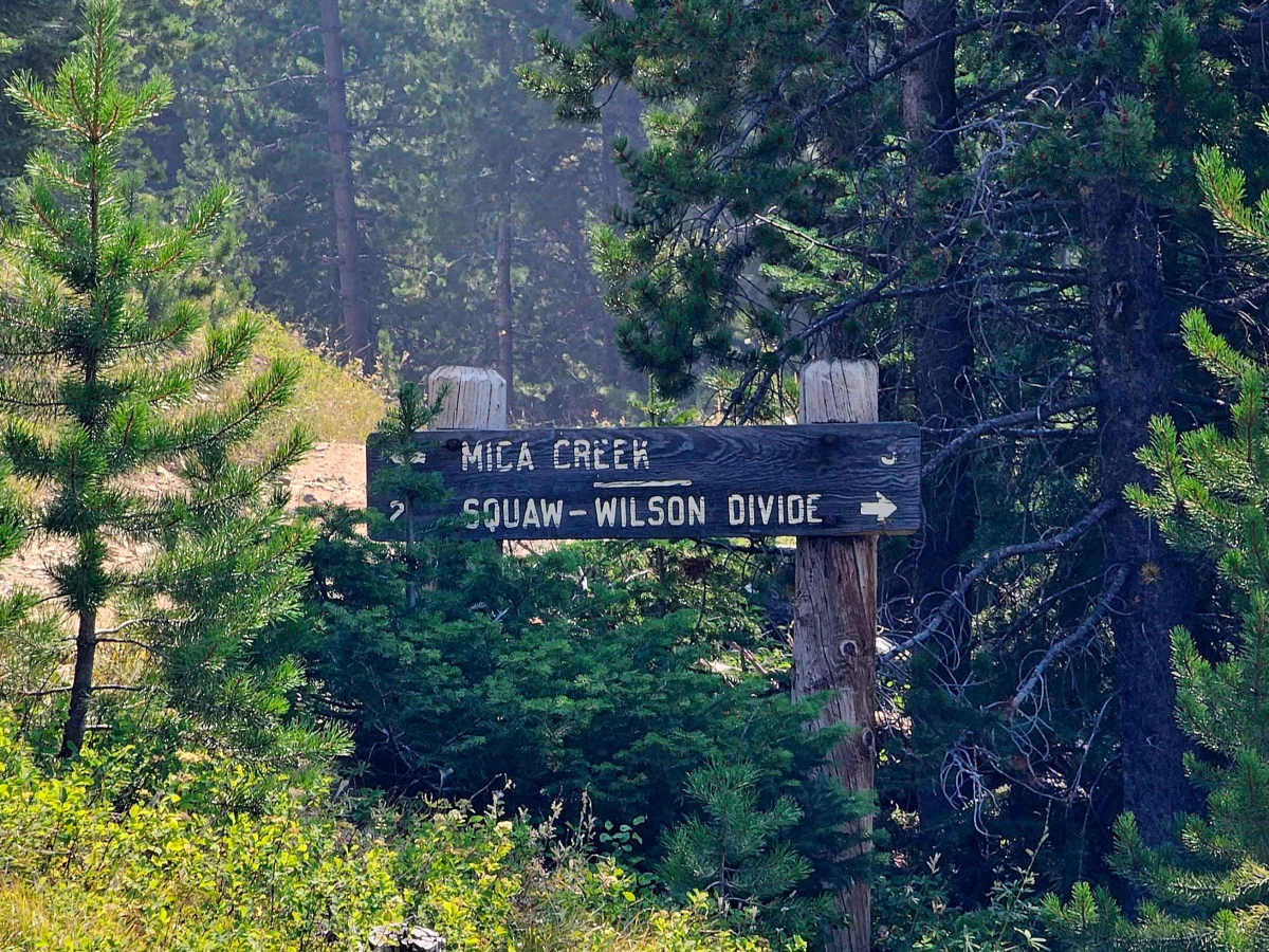 Squaw-Wilson Divide trail photo