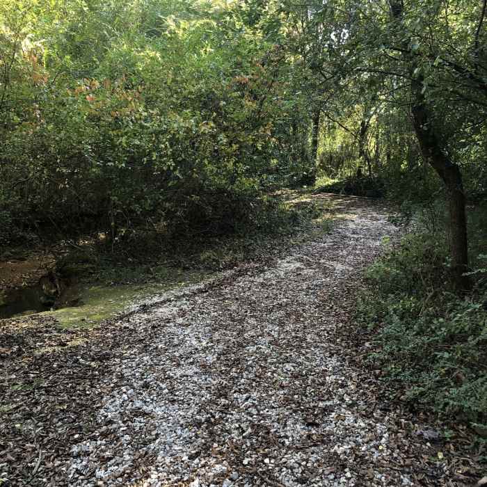 Near Hendrickson Gravel Trail