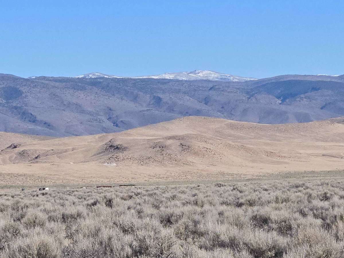County Road 2220 - BLM 6463 photo 4