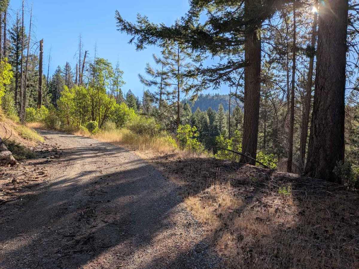Midas Saddle Road - FS 30N16 trail photo