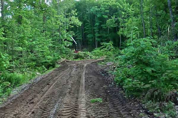 Celotex Spur