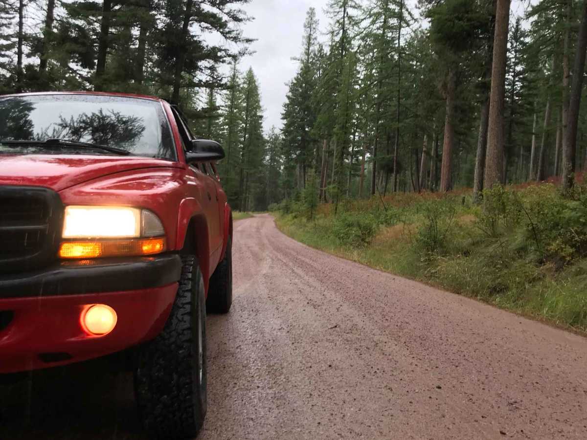 Larch Camp Road trail photo