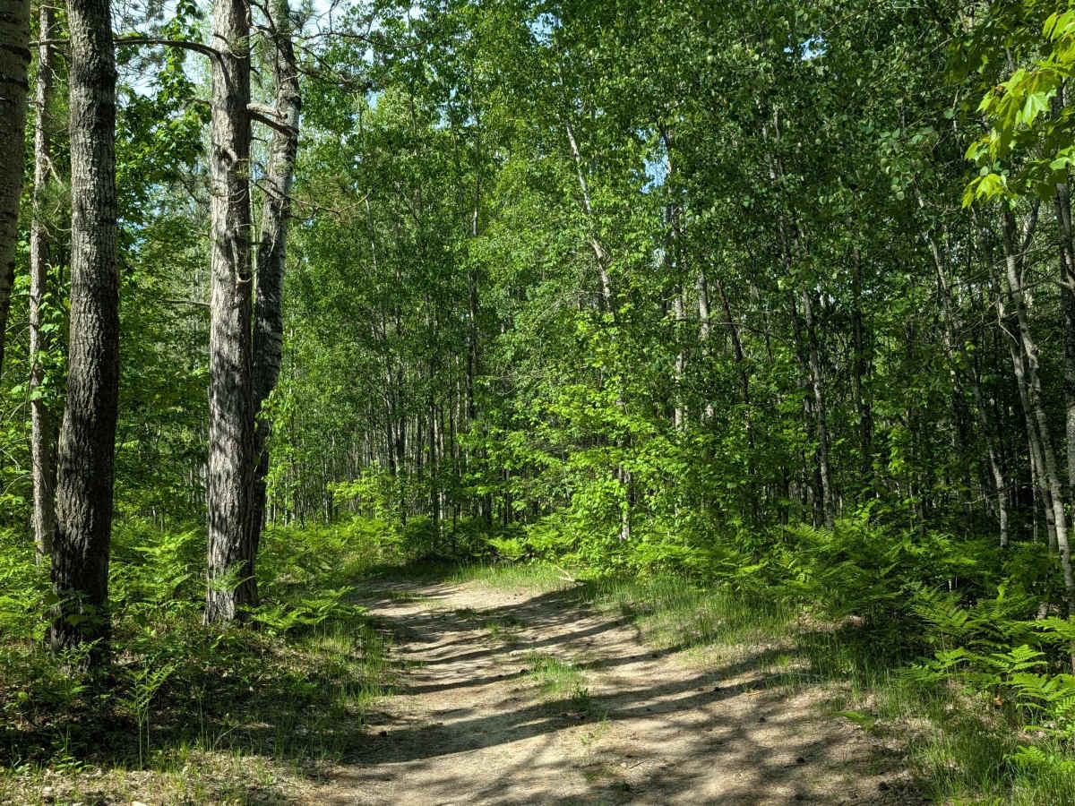 Trophy Acres Hunters Trail photo 3