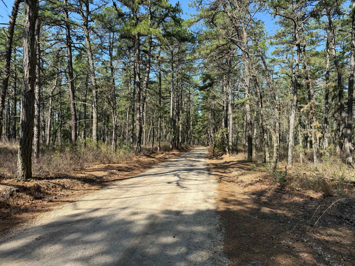 Mount Misery and Pasadena Road photo 4