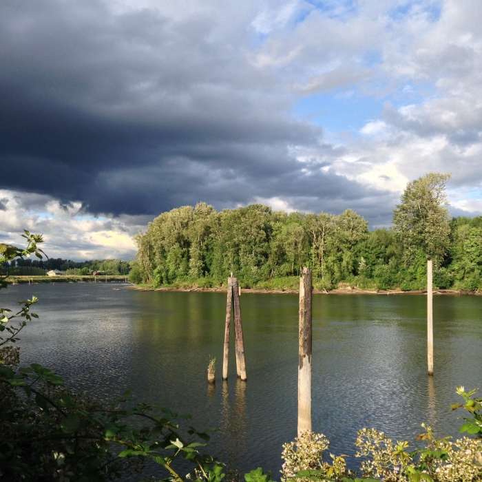 Near Crown Zellerbach Trail