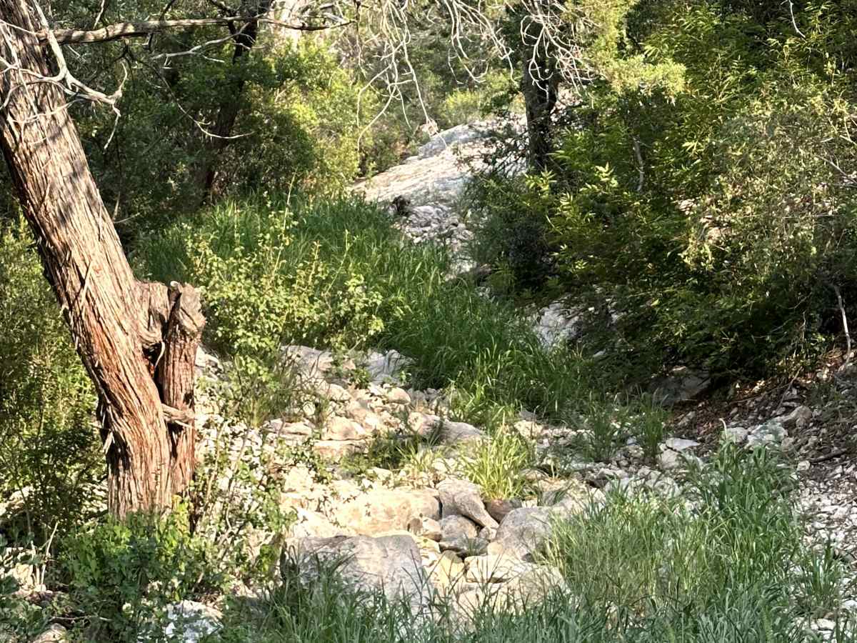 Bounty Hill - V17 photo 2