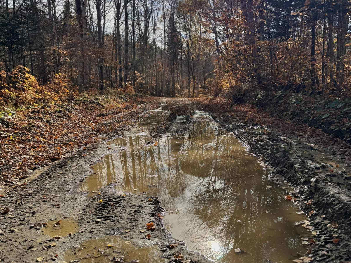 Upper Nine Mile Pool Access photo 5