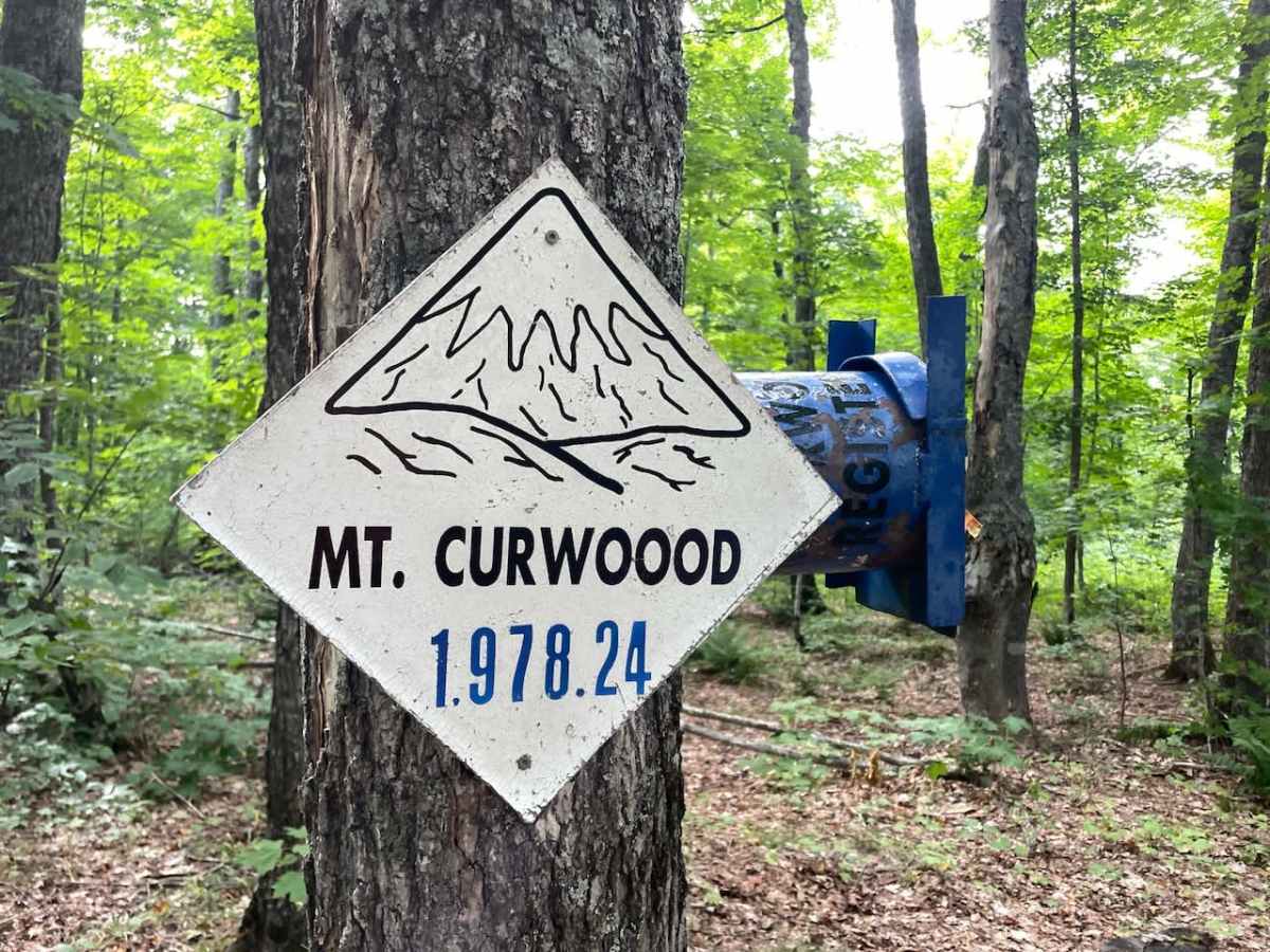 Mount Curwood High Point trail photo