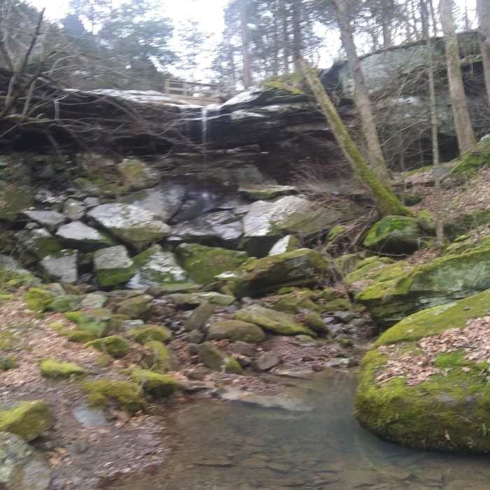 Here's the falls! Near Jackson Falls