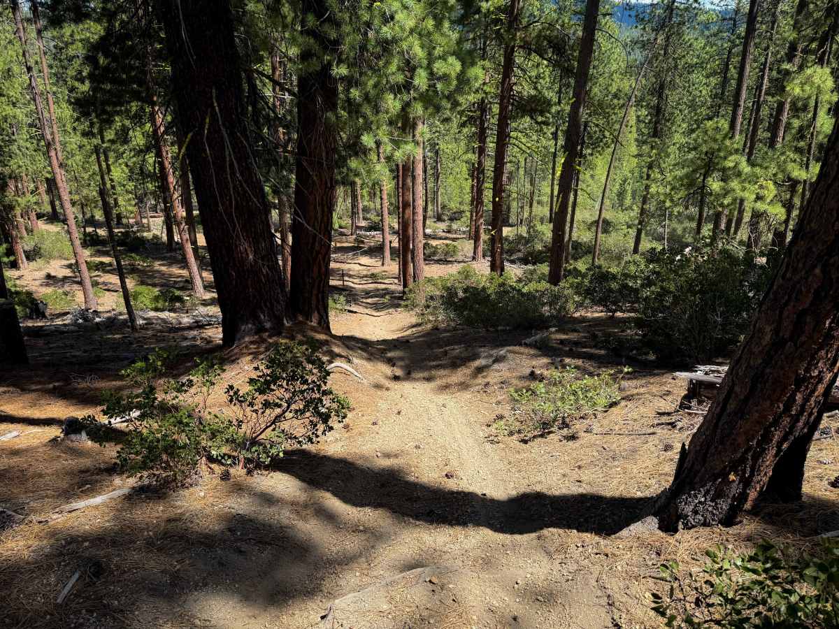 Trail 19   photo 3