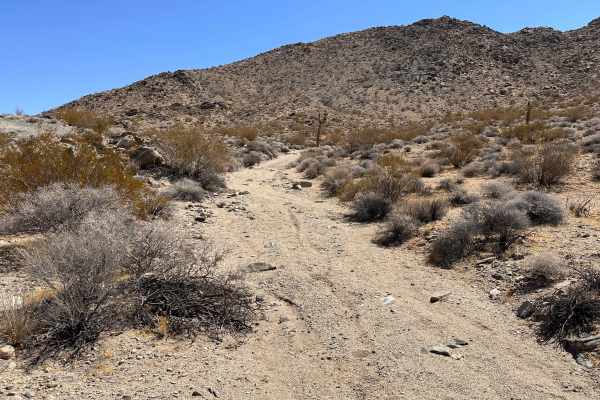 East Fork Wash