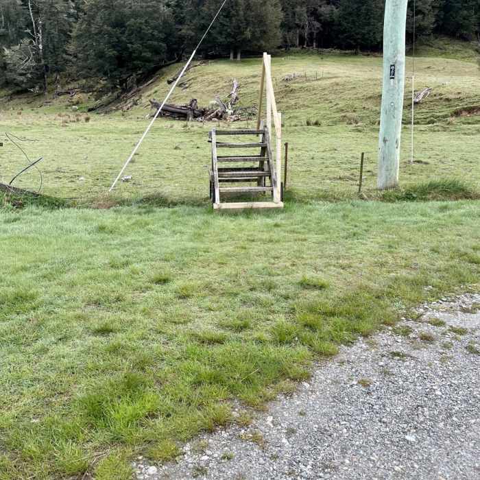 Near Earnslaw Burn Track Near Earnslaw Burn Track