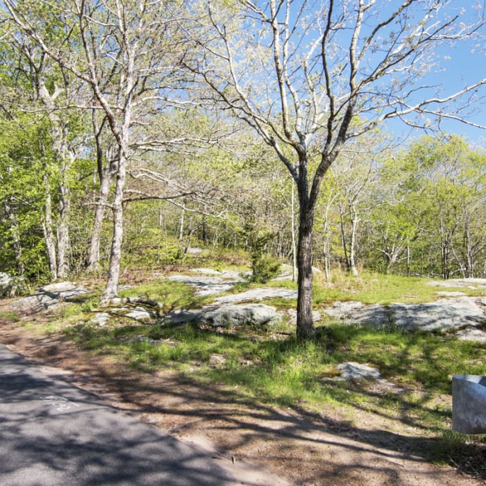 Near Orange Vista Trail Near Orange Vista Trail