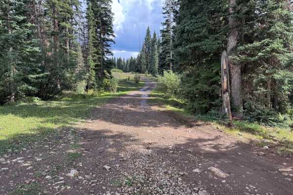 Dillons Cabin Road