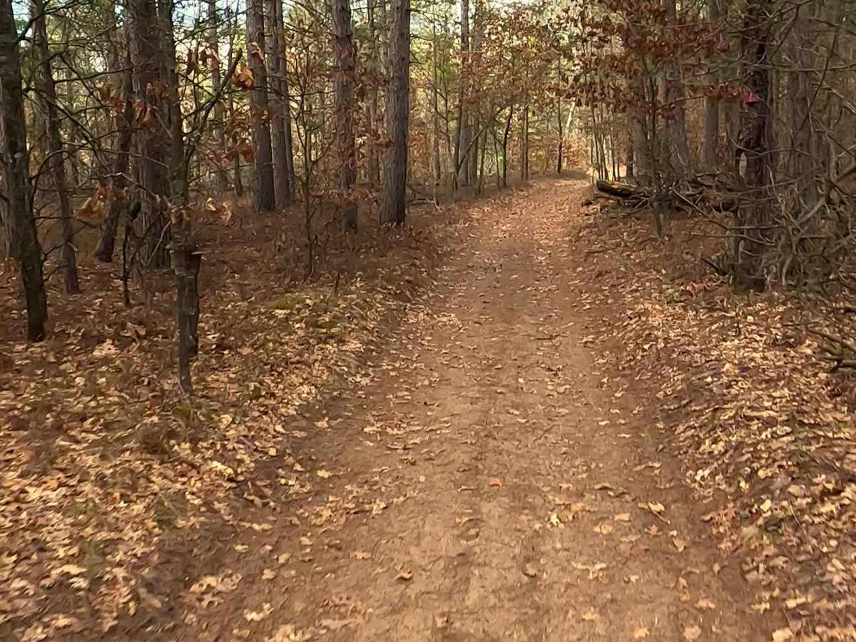 Woods - FS 4330 photo 3
